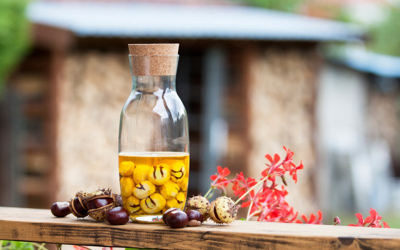 Macérâts Huileux : Comment les Préparer et Profiter de Leurs Bienfaits ?