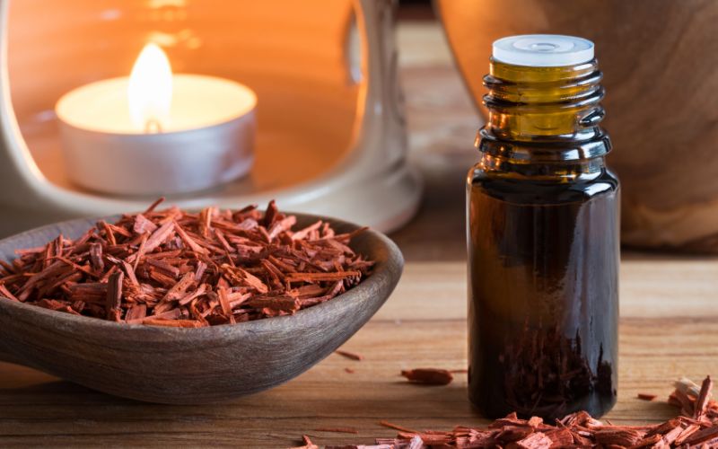 Les 10 Huiles Essentielles Indispensables et leurs Bienfaits au Quotidien